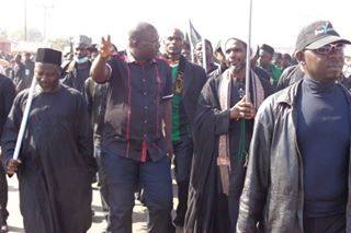 Nigerian Christians pay respect to Imam Husain due to Arbaeen / Pics